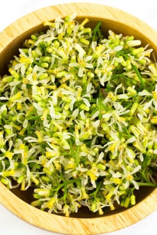 Neem Flowers(NF-01-D) 100g