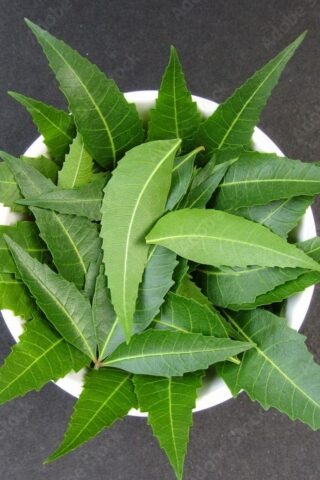 Neem Leaves(NL-01-D) 100g