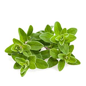 Maruvam  Leaves(MV-01-D) 100g