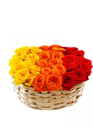 Mixed Button rose(MB-01-D) 100g