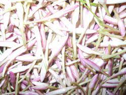 Loose Mullai(ML-01-D) 100g
