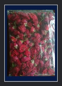 Red Button Roses(RB-L02)