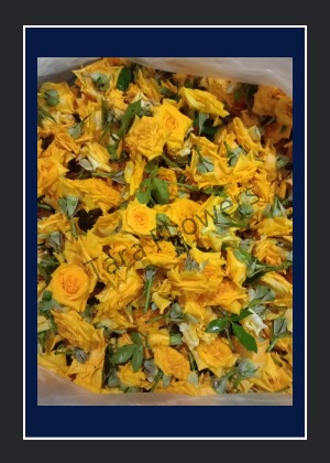 Yellow Button Roses(YB-L02)