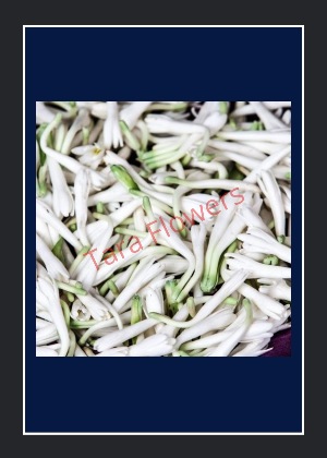 Lilly(LY-01-D) 100g