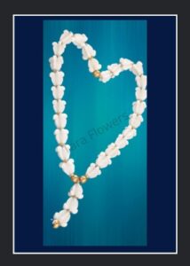 Milkweed-White Garland(MW-P02)