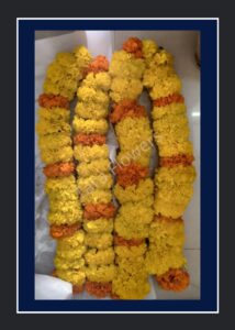 Marigold Thoranam(TH-MG104)
