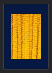 Marigold Thoranam(TH-MG103)