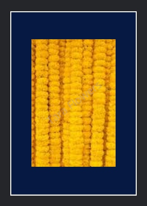Marigold Thoranam(TH-MG103)