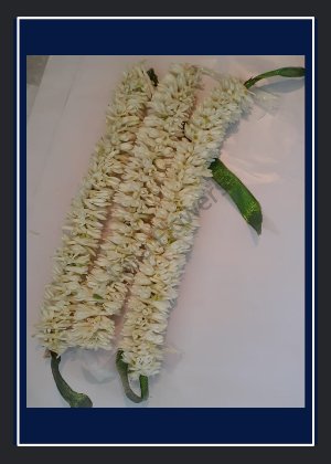 Lilly Veni(HA-LV100)
