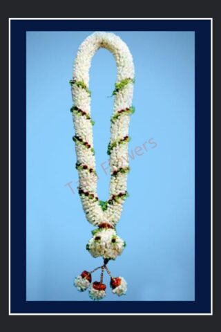 Lilly Garland(SO-LG112)